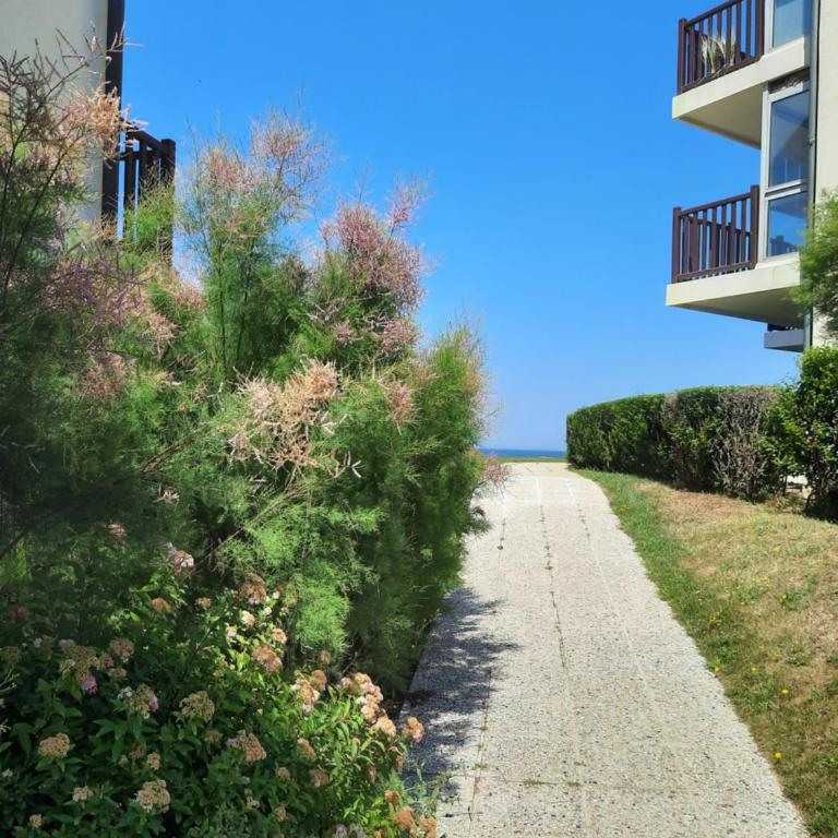 Horizon Marin accès direct plage - Appartement 1 Chambre - 1