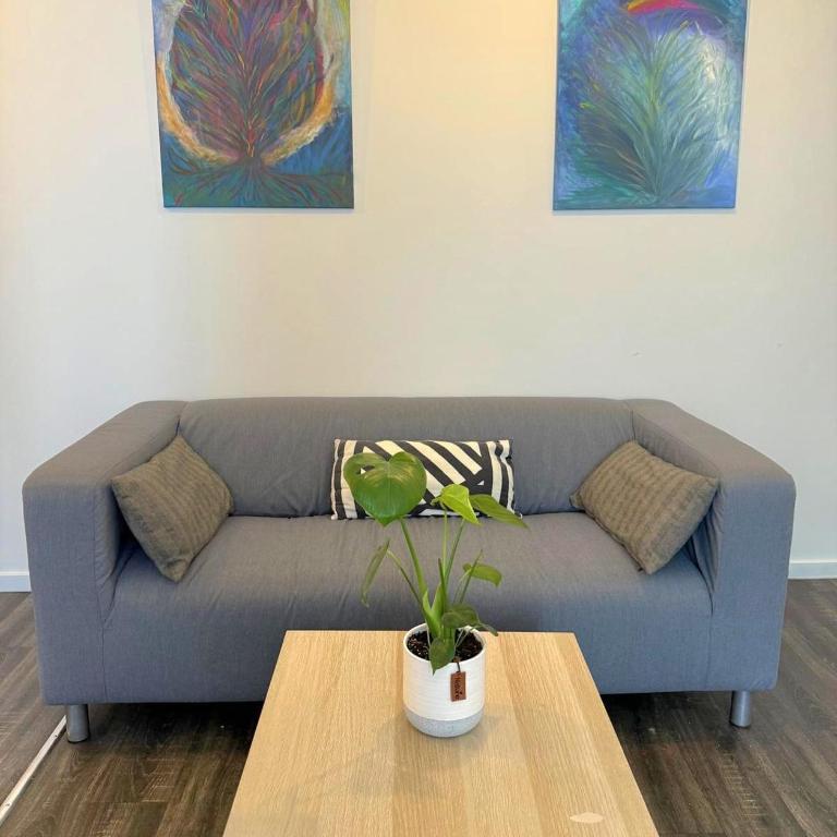 T2 Entièrement neuf, Central - Appartement 1 Chambre - 6