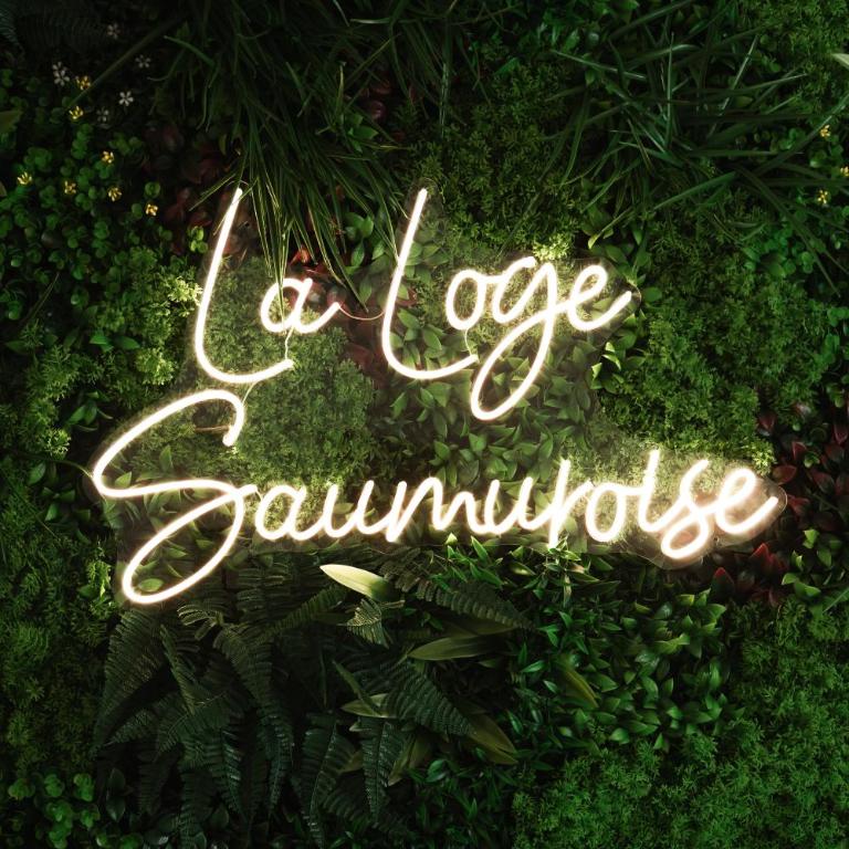 La Loge Saumuroise - Charme, Confort & Local-vélo - Appartement - Rez-de-Chaussée - 19