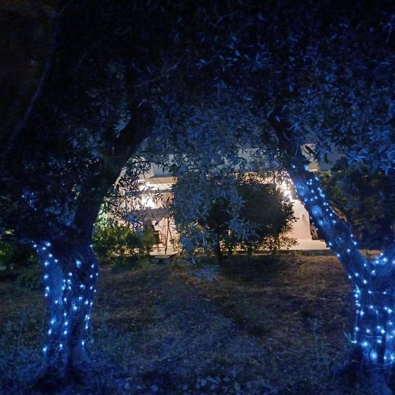 Casa tra gli ulivi - Four-Bedroom House - 27