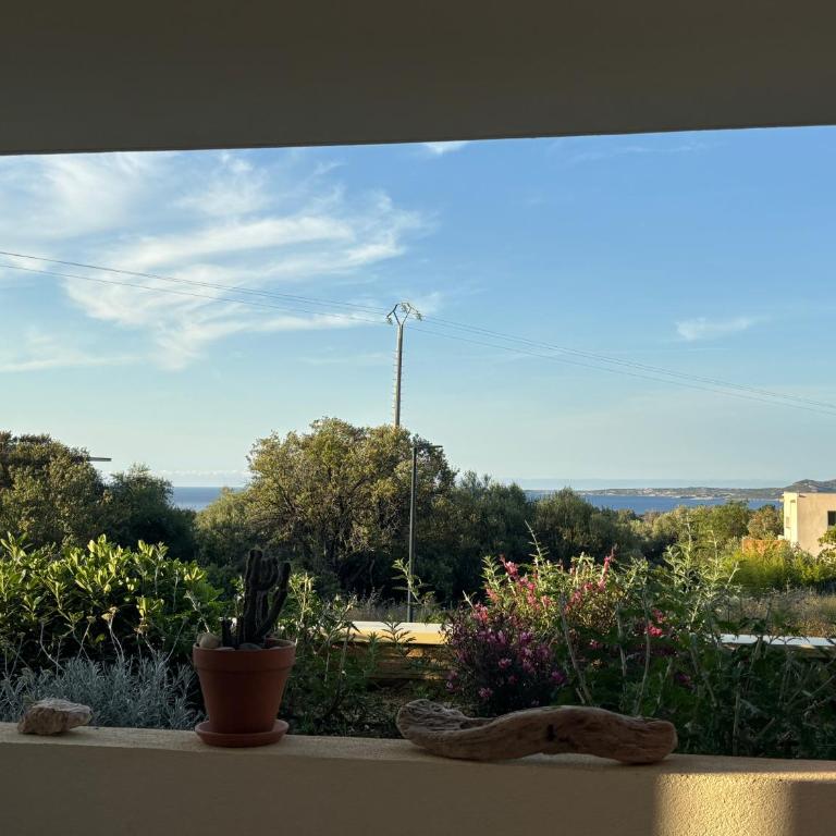 Corse, Calvi T3 lumineux avec piscine, entre mer et montagne - Appartement 2 Chambres - 13