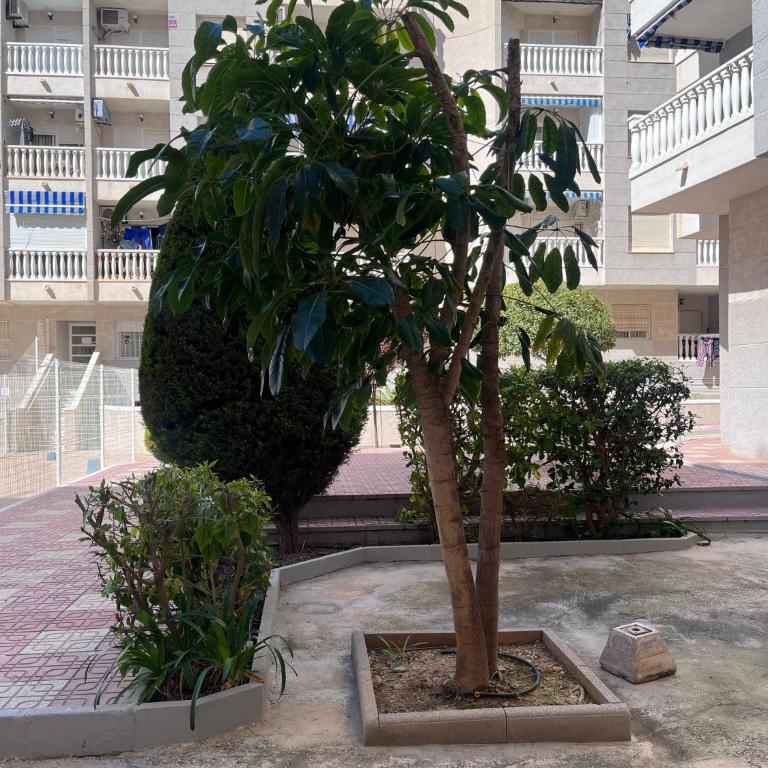 Perfect pool apartment LLM - Apartamento de 3 dormitorios - 16