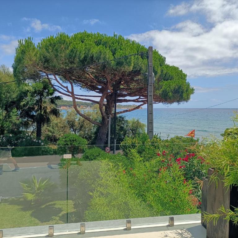Vue et emplacement d'exception à 20 m de la plage des Sablettes - Villa - Côté Plage - 14