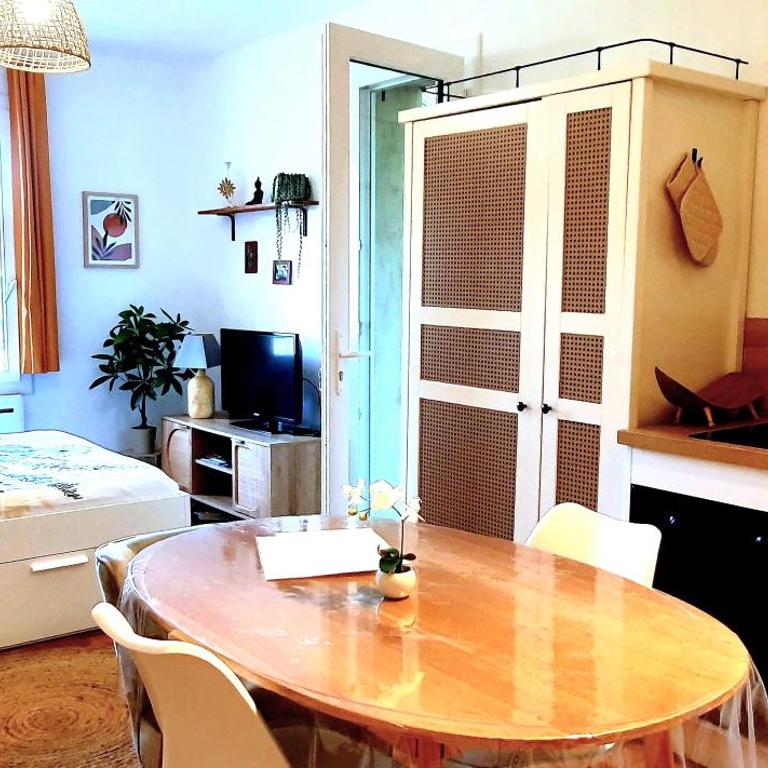 Studio au calme vue montagne "Petit Tibet" - Appartement 1 Chambre - 5