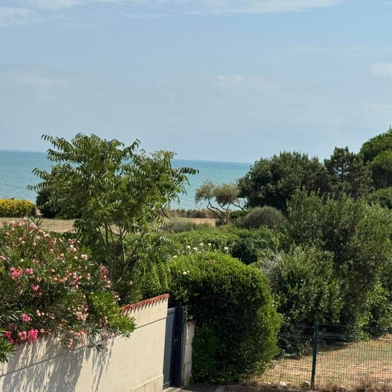 Sea Oceane - Appartement 1 Chambre - 11