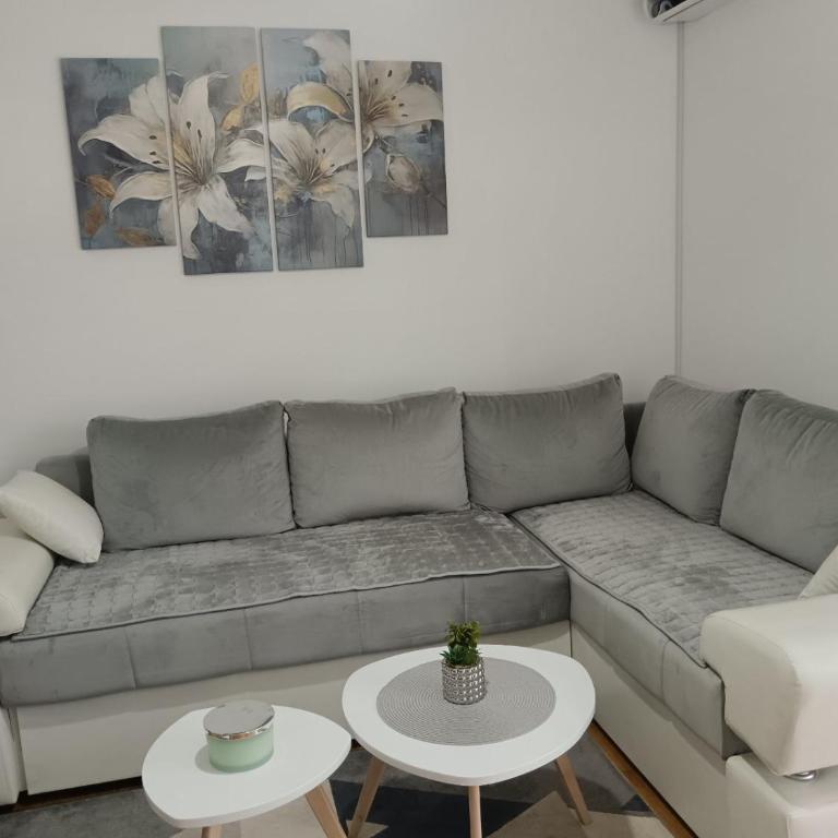 Apartman Sofija - Apartman sa 1 Spavaćom Sobom - 1
