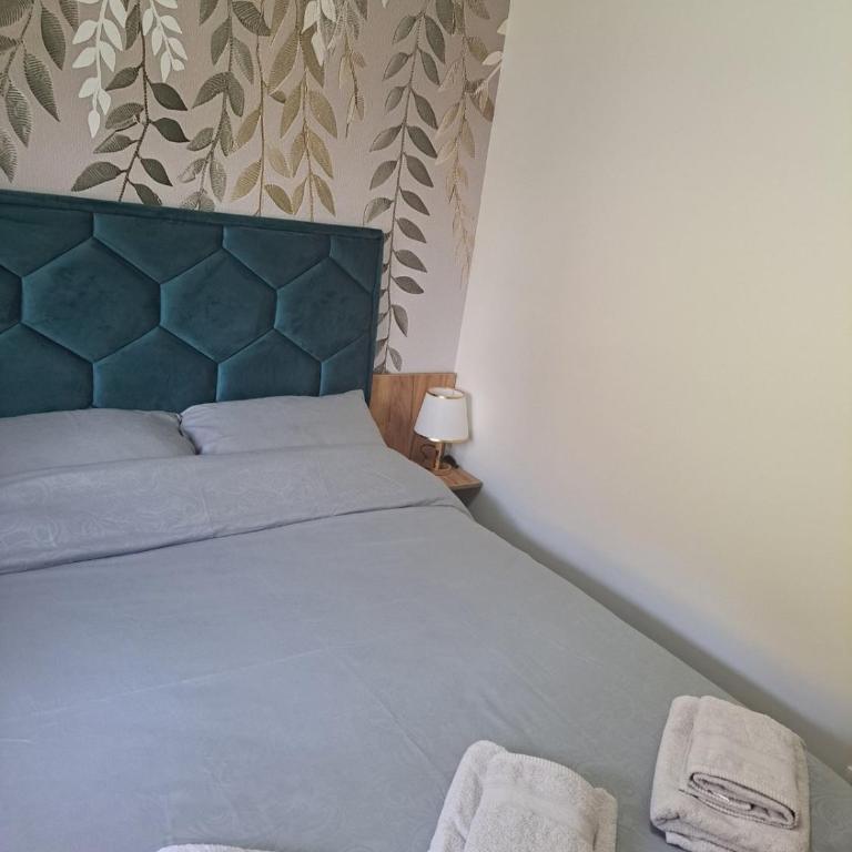 Apartman Sofija - Apartman sa 1 Spavaćom Sobom - 5