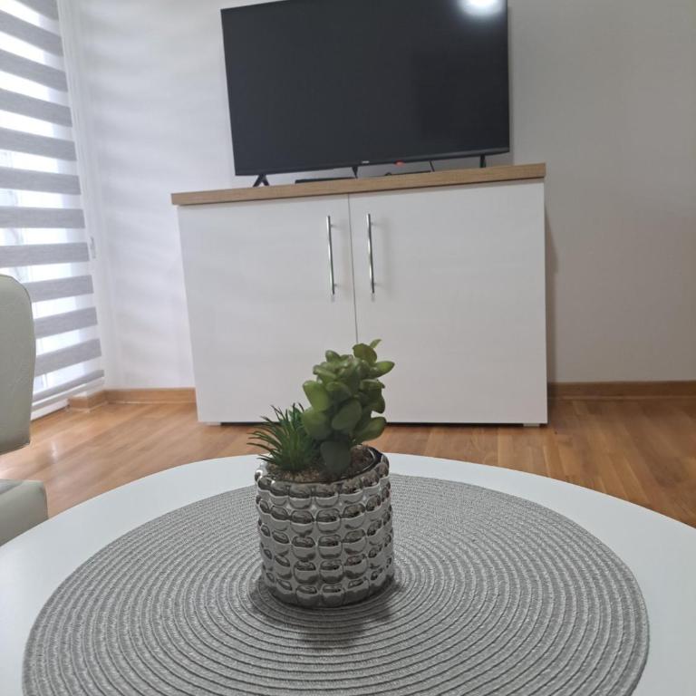 Apartman Sofija - Apartman sa 1 Spavaćom Sobom - 2