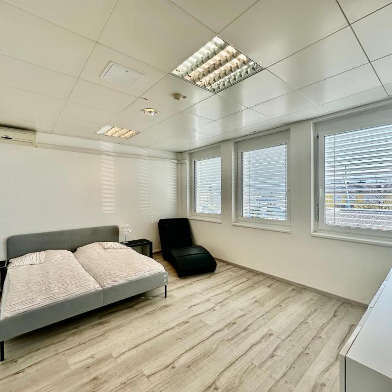 Kobra Apartment für Gruppen perfekt geeignet - Appartement - 20