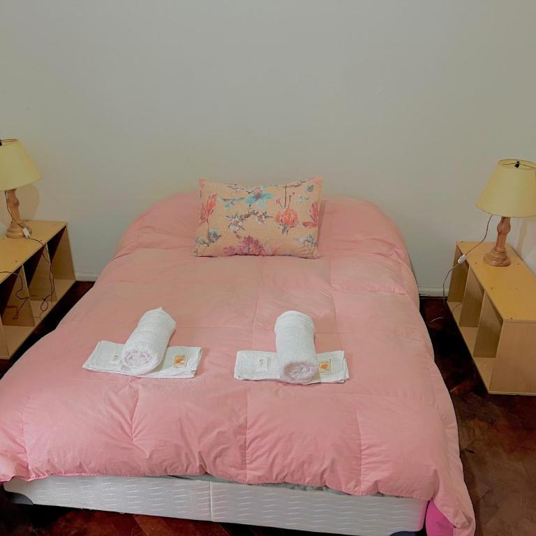 Departamento a pasos de la Peatonal de Mendoza - Apartamento de 3 dormitorios - 2