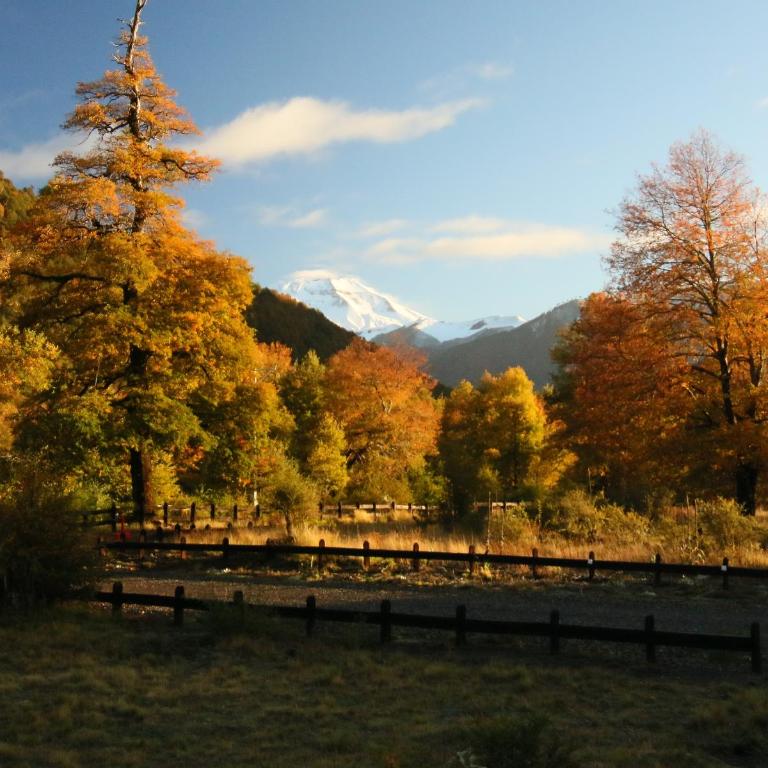 Casa Las Raíces - Relajo con tinaja y vista al volcán, a minutos de Corralco - Three-Bedroom House - 35