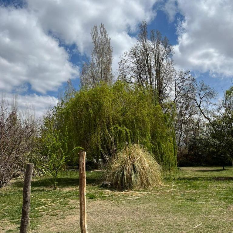 Tiny House 3Pax - Apartamento de 1 dormitorio - 3