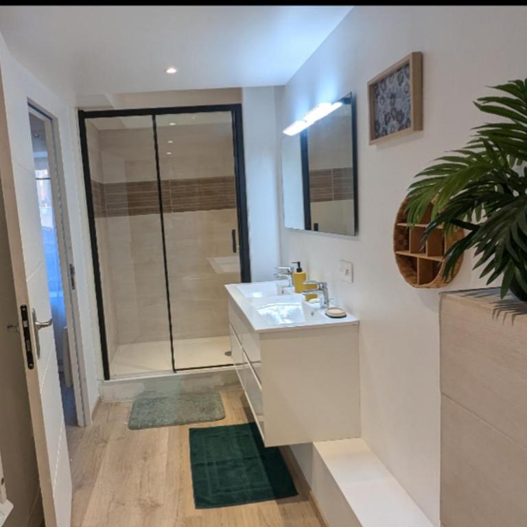 Les Coucous - Appartement 2 Chambres - 31
