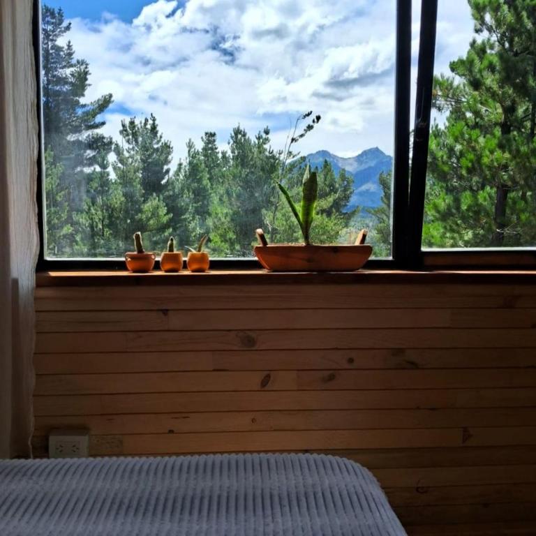 Cabaña Aida Epuyén - Chalet de 2 dormitorios - 18
