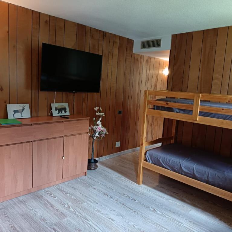 Monolocale Cervinia - Rododendro - ski in-out - Appartamento con 1 Camera da Letto - 12