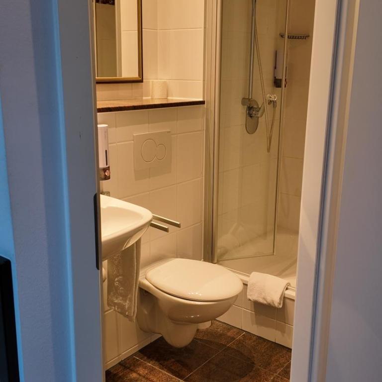Hotel Aurbacher Hof GmbH - Habitación Individual - 4