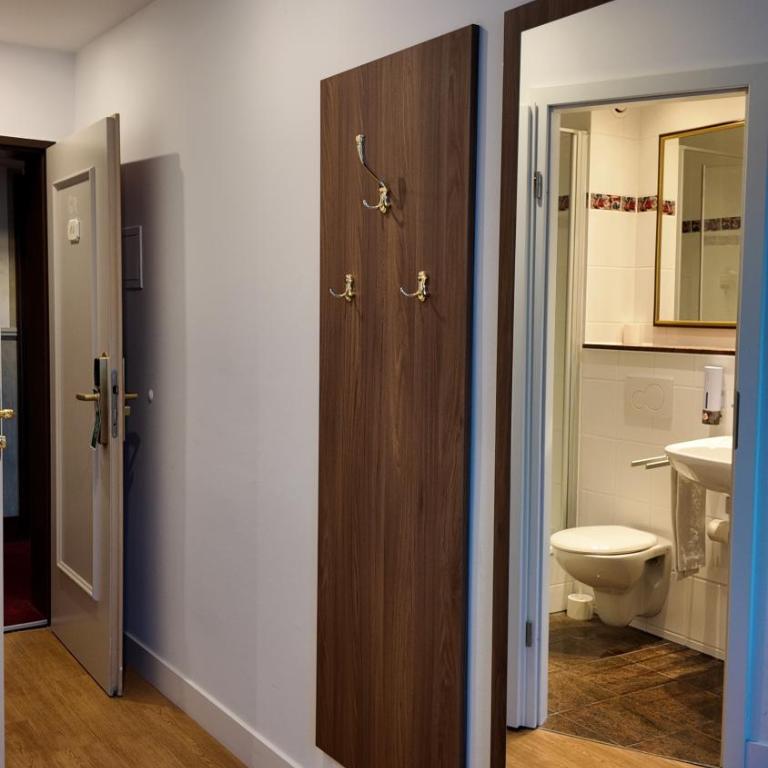 Hotel Aurbacher Hof GmbH - Habitación Individual - 9