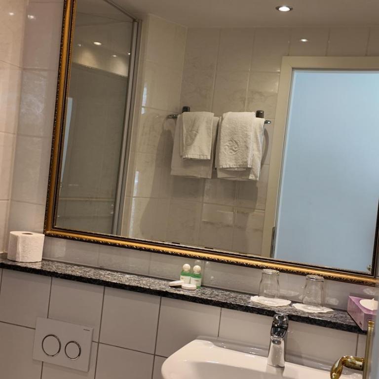 Hotel Aurbacher Hof GmbH - Habitación Doble - 7