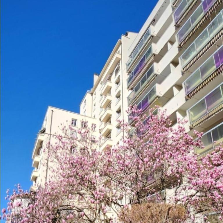 PLEIN SUD Terrasse Garage Netflix Climatisation - Appartement avec Balcon - 6