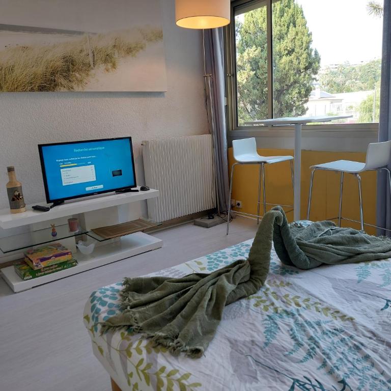 Studio Le Trident de la mer - Axelle Loc'Appart - Studio - 1