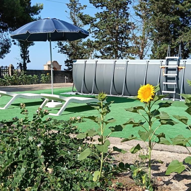 Appartamento in masseria a Porto Cesareo - Appartamento con 2 Camere da Letto - 8