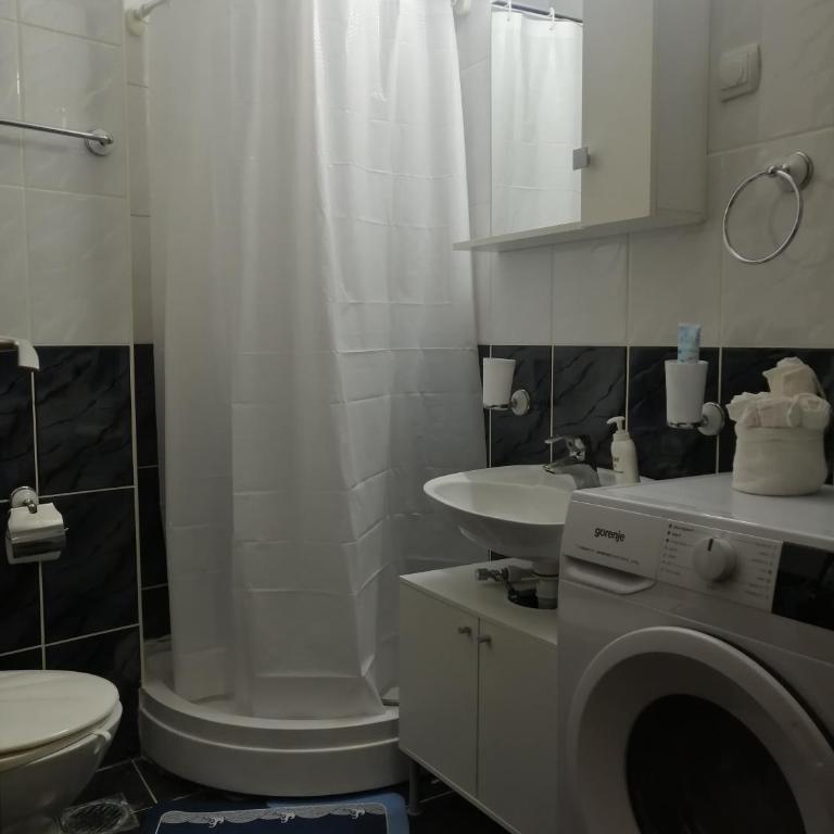 Veliki park - Apartman sa 1 Spavaćom Sobom - 9