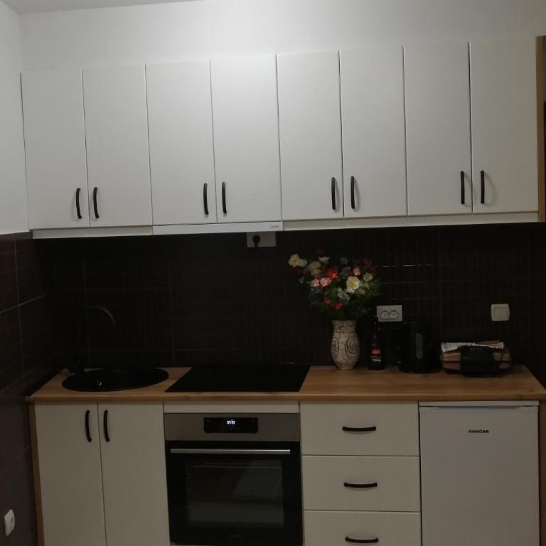 Veliki park - One-Bedroom Apartment - 11