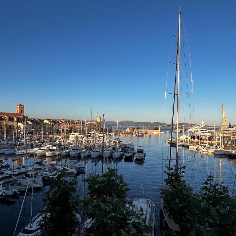 Sea Front - Apartment mit 1 Schlafzimmer - 10