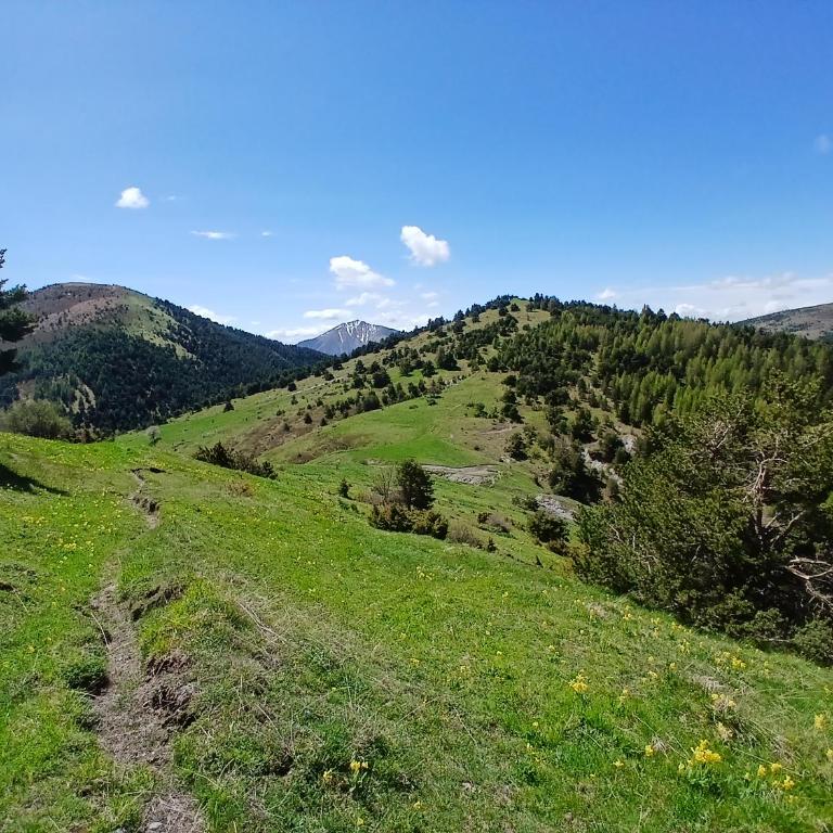Appartement duplex spacieux et frais avec vue sur montagnes - Appartement 3 Chambres - 37
