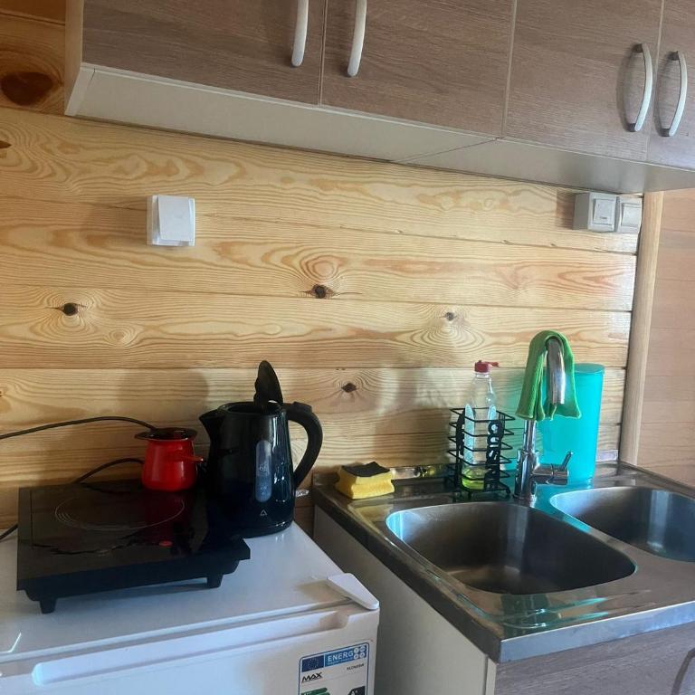Mountain apartment-Komovi - Kuća sa 1 Spavaćom Sobom - 43