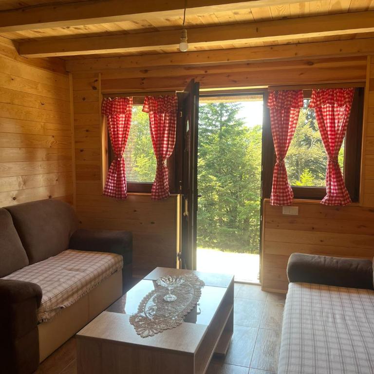 Mountain apartment-Komovi - Kuća sa 1 Spavaćom Sobom - 46