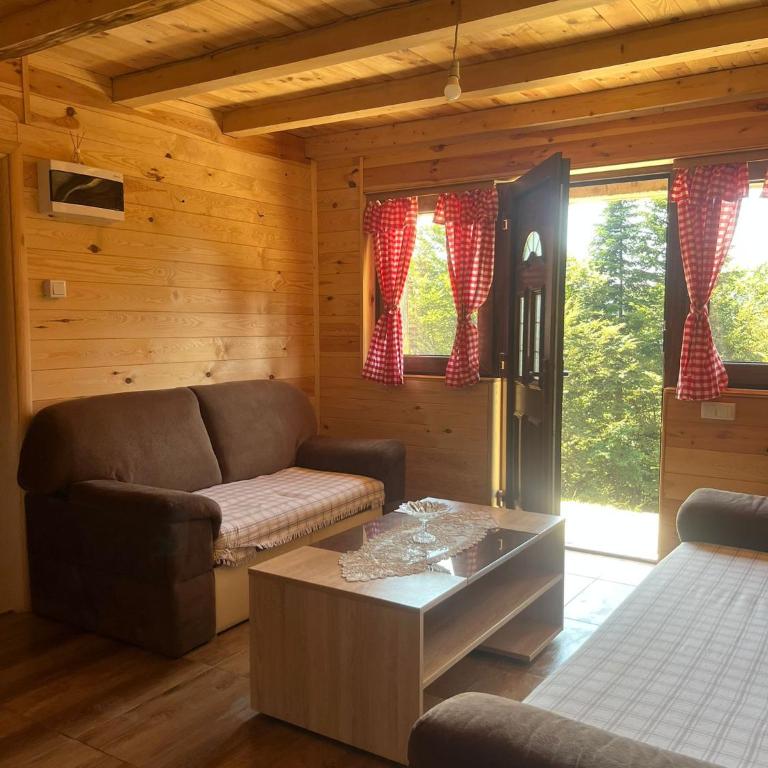 Mountain apartment-Komovi - Kuća sa 1 Spavaćom Sobom - 17