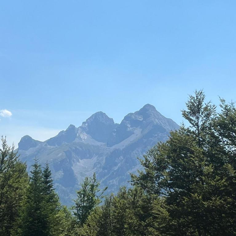 Mountain apartment-Komovi - Kuća sa 1 Spavaćom Sobom - 49