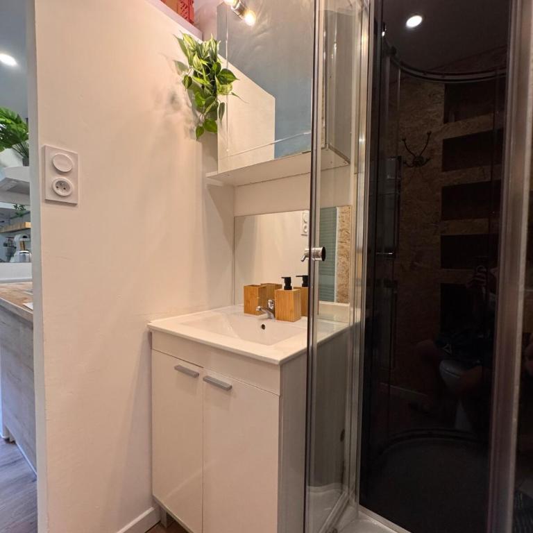 La Petite Cabane Nomade 2 personnes - Appartement 1 Chambre - 3
