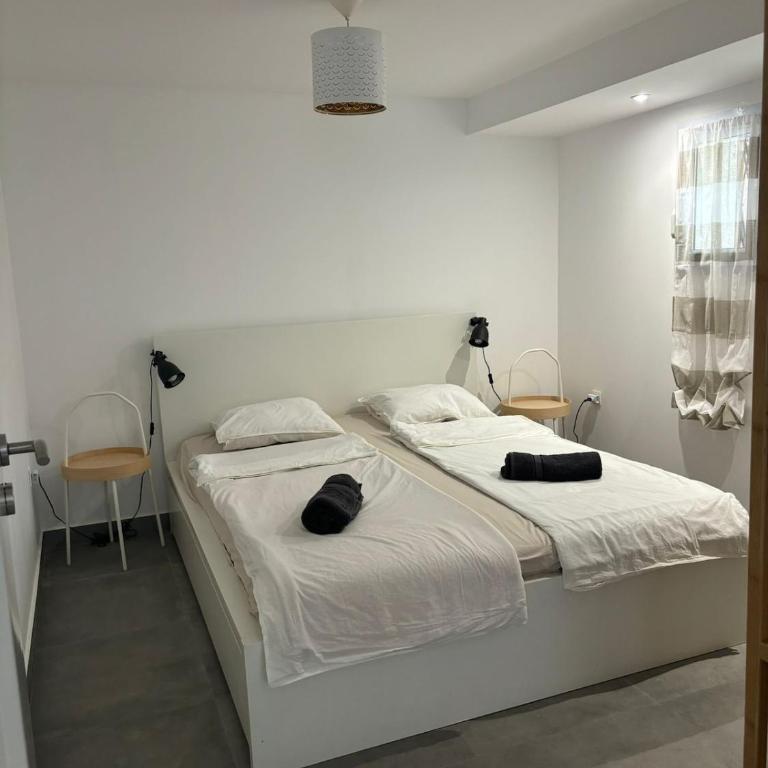 L'Opale I T2 - Appartement 1 Chambre - 11
