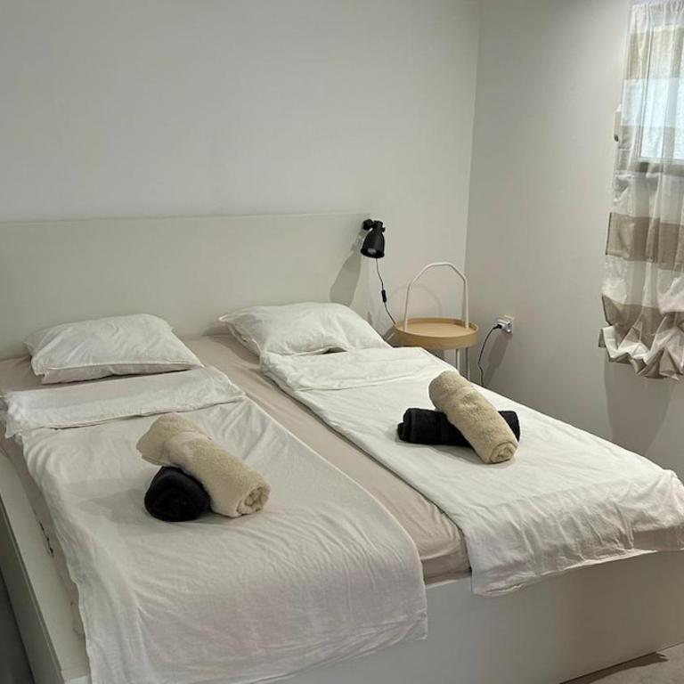 L'Opale I T2 - Appartement 1 Chambre - 17