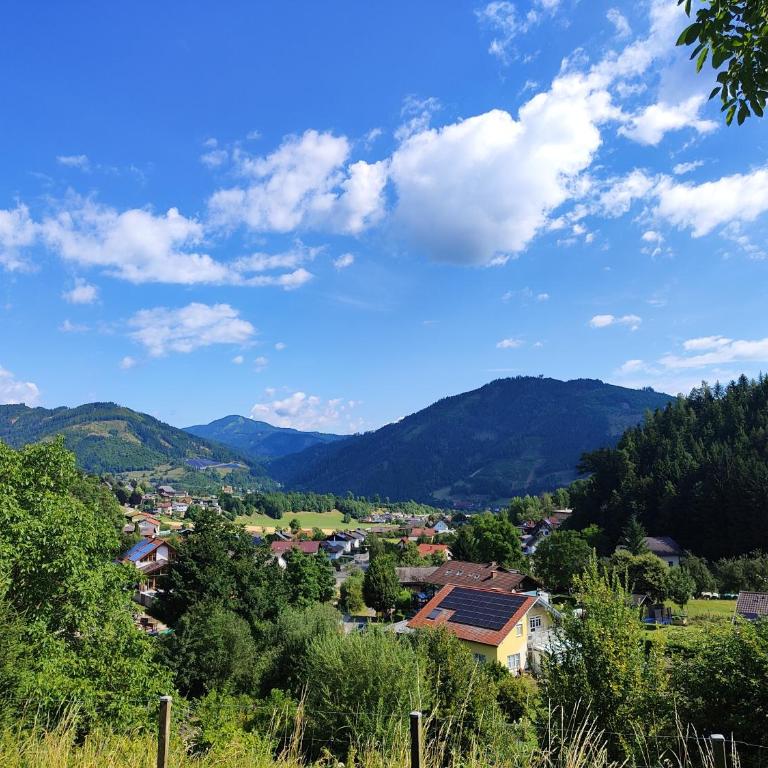 Landhaus Pool and Relax - Villa mit 3 Schlafzimmern - 48