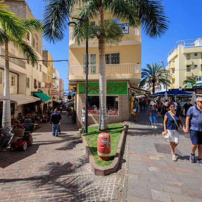 Apartment in Los Cristianos - Paulita del Mar - Apartamento de 2 dormitorios - 14