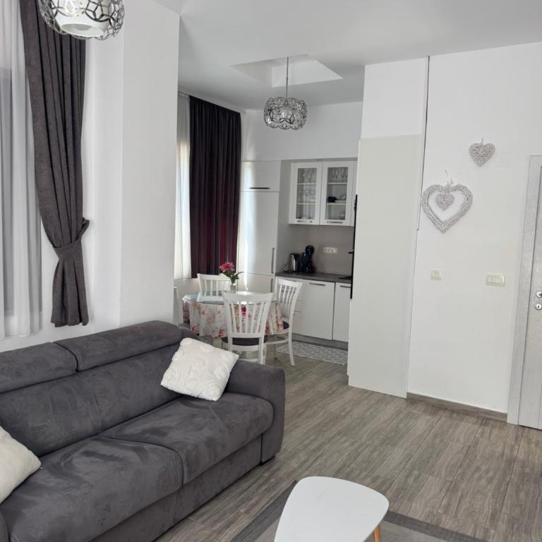 Cozy studio apartment in Petrovac - Studio Apartman - 3