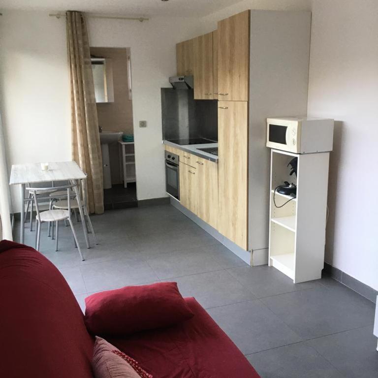 Studio meublé au calme avec terrasse et climatiseur mobile - One-Bedroom Apartment - 2