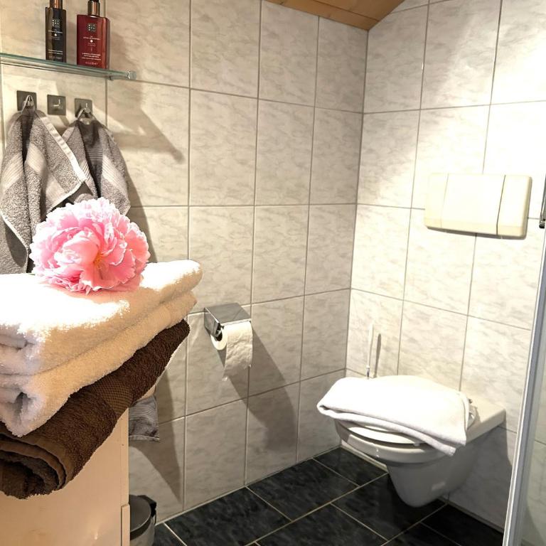 Landhaus Berthold - Appartement 2 Chambres avec Douche - 38