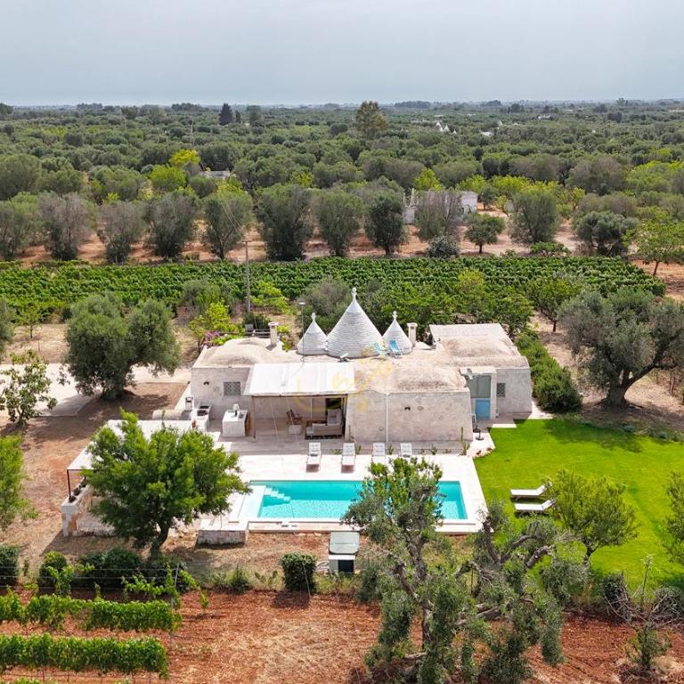 TD Trullo Titiro Vineyard Wine Cellar Pool - Casa Vacanze - 2