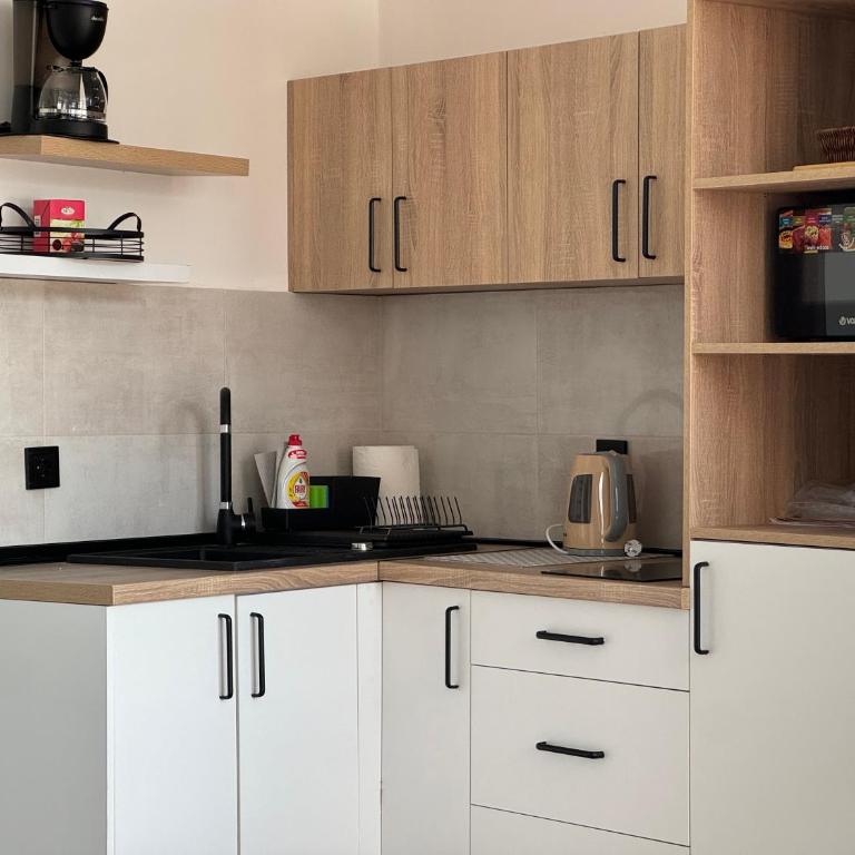 Apartment Janna-Sarajevo - Apartman sa 1 Spavaćom Sobom - 9