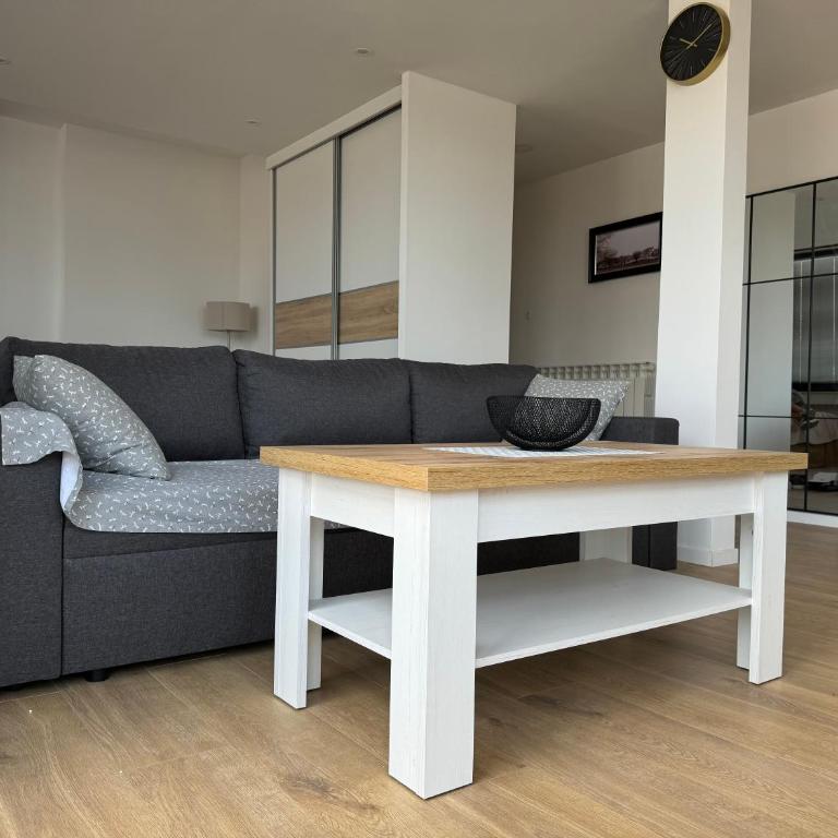 Apartment Janna-Sarajevo - Apartman sa 1 Spavaćom Sobom - 7
