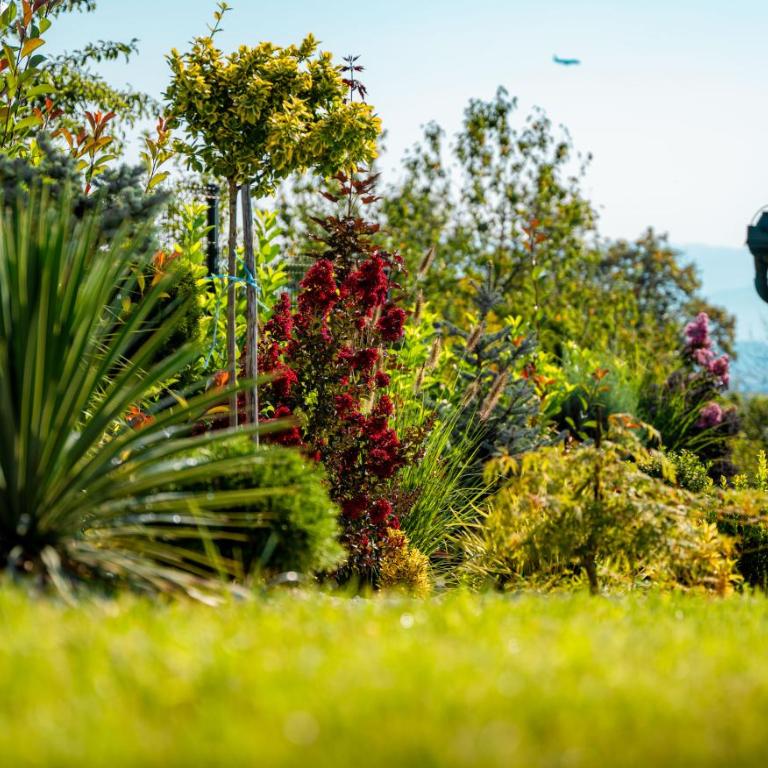 Hillmax Residence - Vila - 14