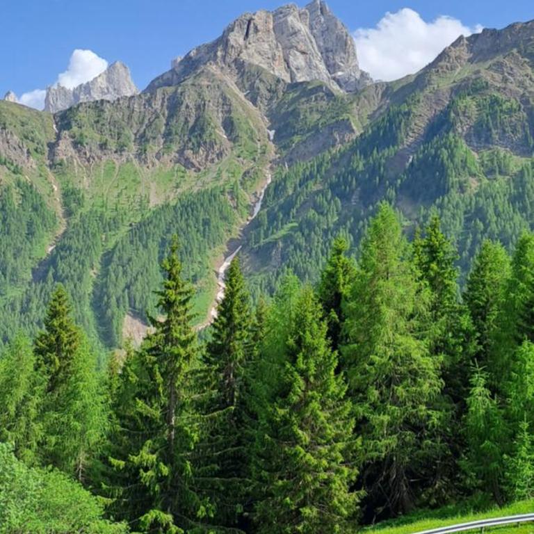 La Tana della Volpe, Falcade - BL - Appartamento con 1 Camera da Letto - 17