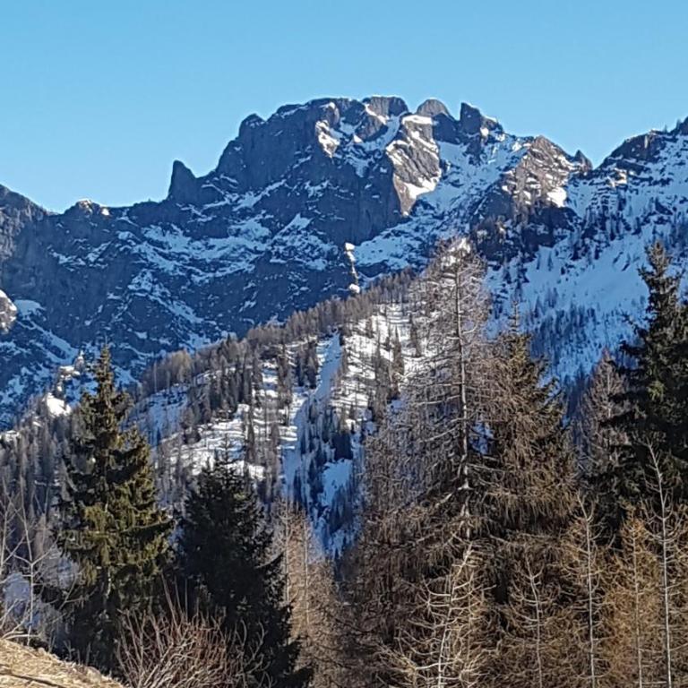 La Tana della Volpe, Falcade - BL - Appartamento con 1 Camera da Letto - 18