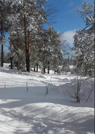 Šumska kuća Nada - Kuća sa 1 Spavaćom Sobom - 26