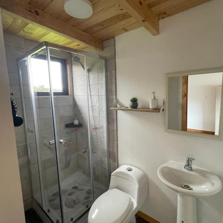 Luz de Luna Antilhue - Apartamento de 1 dormitorio - 4