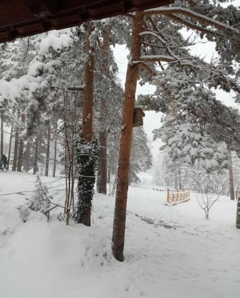 Šumska kuća Nada - Kuća sa 1 Spavaćom Sobom - 34